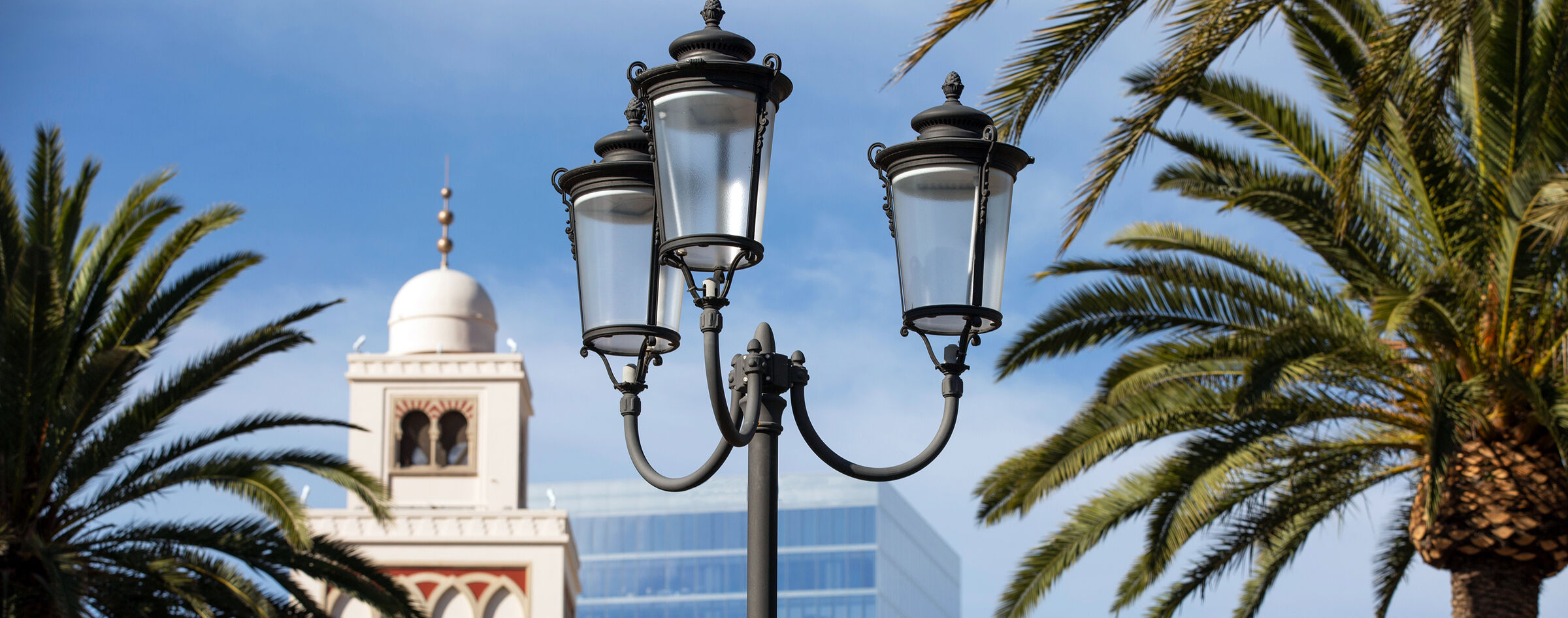 Irvine streetscape with palm trees and classic lamp posts